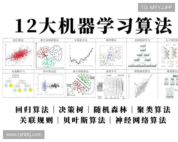深入解析杭州篮球队的团队协作表现与数据分析方法探讨 深入解析杭州篮球队的团队协作表现与数据分析方法探讨
