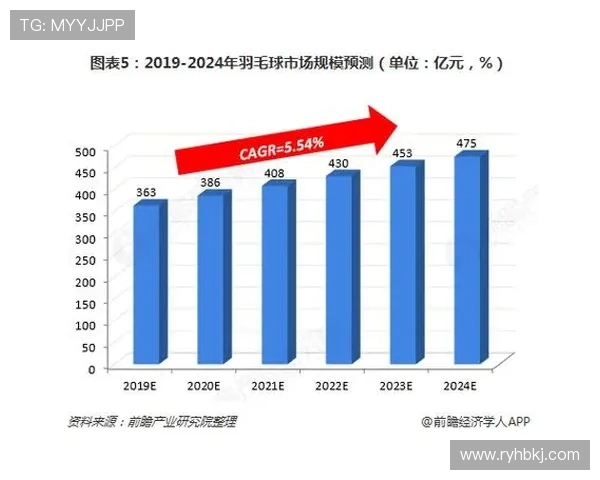 羽毛球深度解析北京羽毛球队的转型与发展之路 羽毛球深度解析北京羽毛球队的转型与发展之路