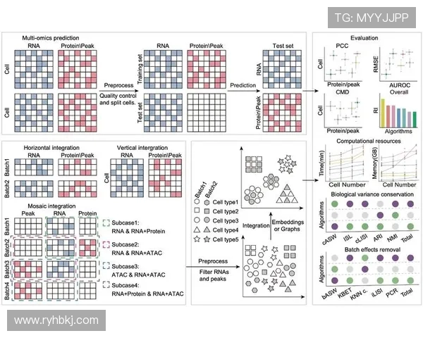 聚焦CSGOJDG选手个人能力分析与团队协作的深度探讨